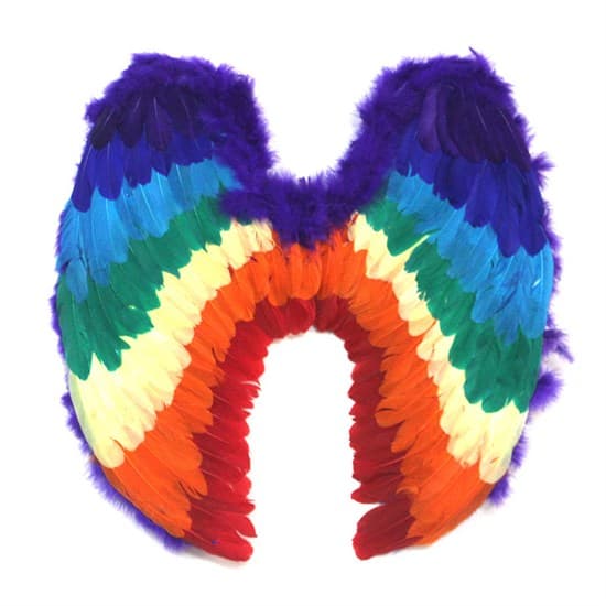 Крылья разноцветные - фото 16714