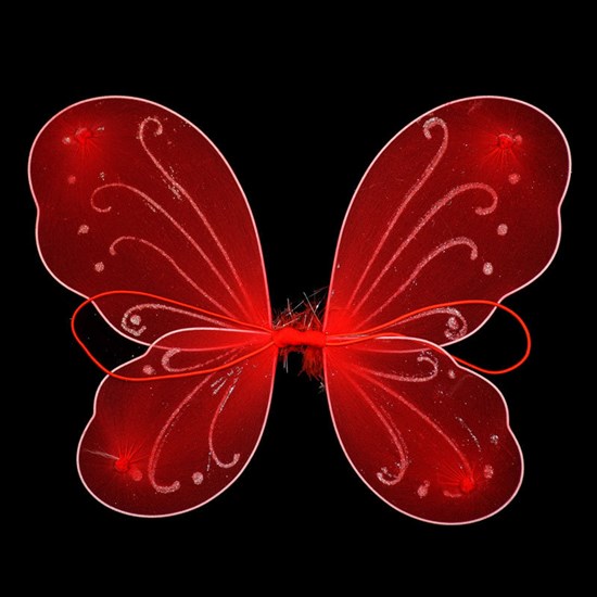 4265. Крылья бабочки. Разные цвета - фото 22828