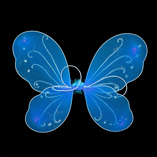 4265. Крылья бабочки. Разные цвета - фото 22835