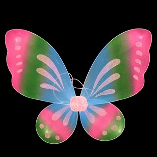 4265. Крылья бабочки. Разные цвета