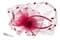 Бордовая вуалетка с цветком на ободке - фото 10268