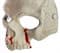Мягкая полумаска черепа 3D белая с кровью - фото 16906