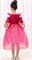 Розовое платье Золушки - фото 18611