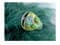 Зеленый парик Кикиморы со змеями - фото 18973