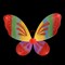 4265. Крылья бабочки. Разные цвета - фото 22829