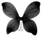 4265. Крылья бабочки. Разные цвета - фото 22990