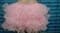 Светло-розовая пышная юбка фонарик - фото 6788