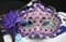 Фиолетовая новогодняя маска с пайетками и блестками - фото 8679